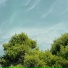 cutted files