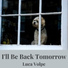 Luca Volpe