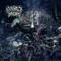 Voracious Infection