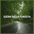Suoni della Natura di TraxLab