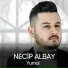 Necip Albay