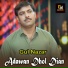 Gul Nazar