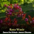 Raza Wazir