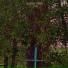 корова павла смердякова, хтонъ