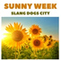 Slang Dogs City