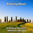 Sleep Music, Relaxing Music, Yoga