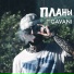 GAVANI