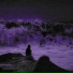 kyxida, Dj Violation