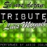 Audio Idols