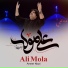 Ameer Niazi
