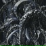 CorvusOnMic feat. HUMSLEEPP