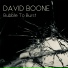 David Boone feat. Danton Supple