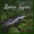 Lluvia del Bosque