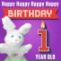 Hoppa the Happy Bunny