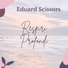 Eduard Scissors