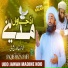 Saqib Raza Saifi