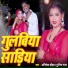 Abhishek Chauhan, Punita Raj