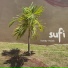 sufi