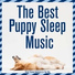 Dog Music Dreams, RelaxMyDog, Dog Music Therapy