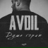 AVDIL