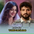 Wahid Gul Shabab