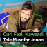 Qari Fazli Nawzadi