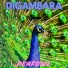 DIGAMBARA