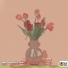 Mad Seedling, yani, Chill Moon Music