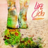 Life Cicla