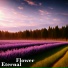 Eternal Flower