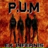 P.U.M.