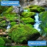 Tony Lambo66