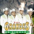 Los Grandes de Sinaloa