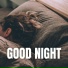 The Sleepy Sounds