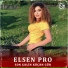 Elsen Pro
