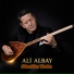 Ali Albay