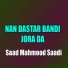 Saad Mahmood Saadi