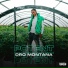 Dro Montana