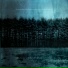 Taylor Deupree