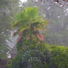 Rain & Sleep