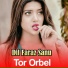 Dil Faraz Sanu