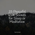 Sleepy Times, Meditation Zen, Ruído branco