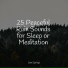 Sleepy Times, Meditation Zen, Ruído branco