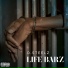 D Steelz