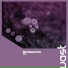 Max Lake, JULYO