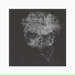 David Toop