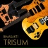 TRISUM
