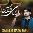 Saleem Raza Jatoi