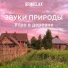 Голоса птиц