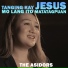 The AsidorS